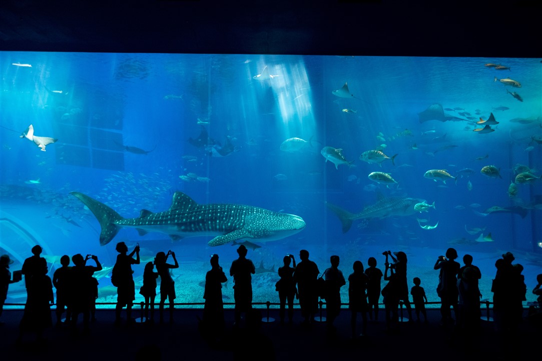 Escapade Nordique (Copenhague)