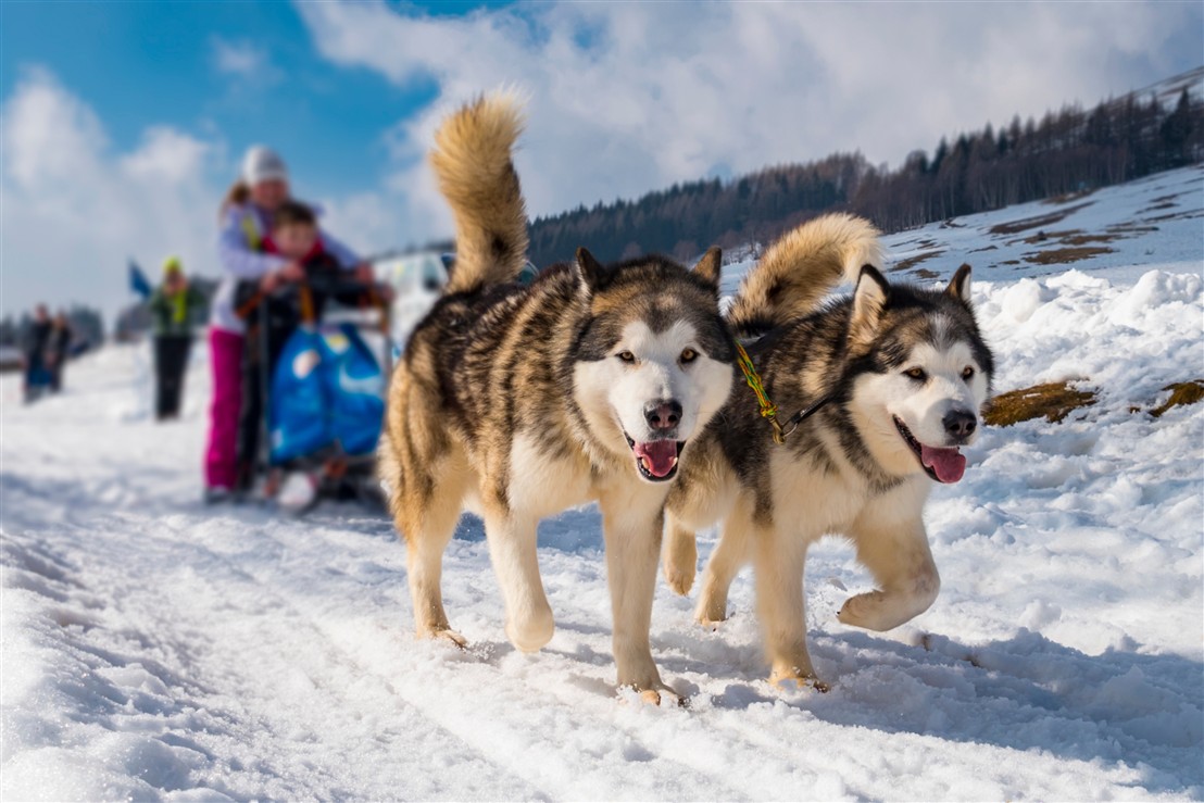 Image slider